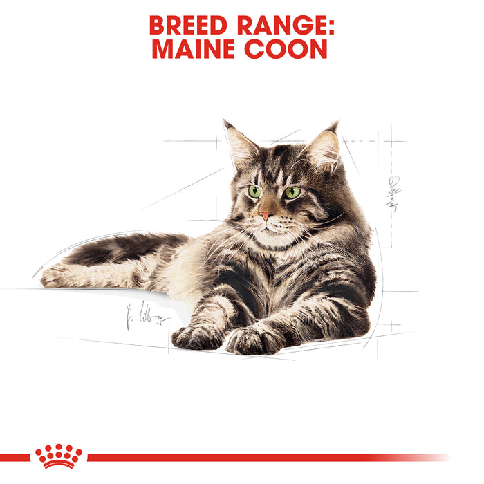 ROYAL CANIN® Maine Coon Breed Adult Dry Cat Food