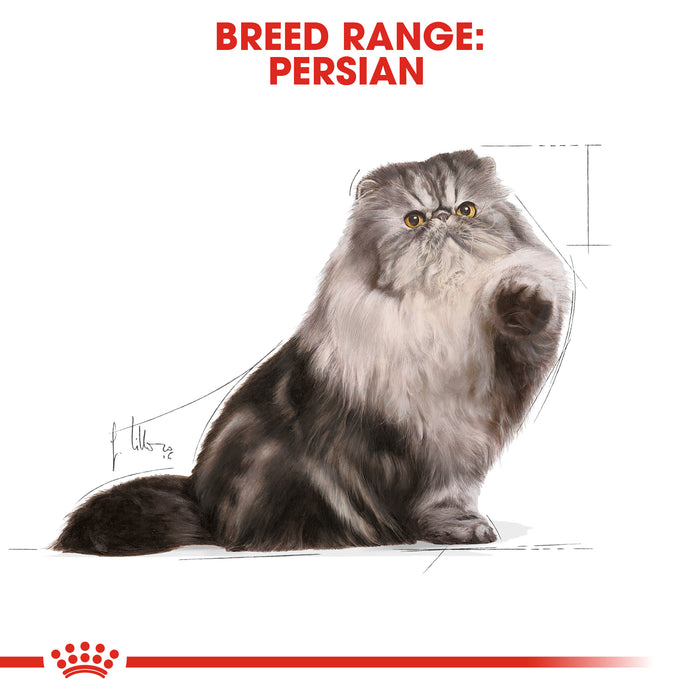 ROYAL CANIN® Persian Breed Loaf Adult Wet Cat Food Pouches 12 x 85g