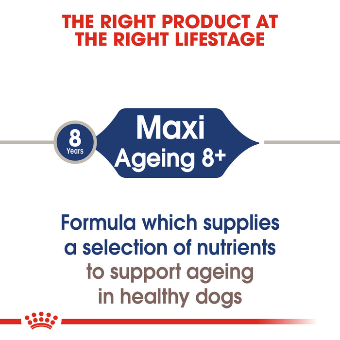 ROYAL CANIN® Maxi Ageing 8+ Ageing Wet Dog Food Pouches 10 x 140g