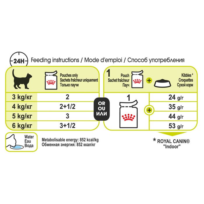 Royal Canin Feline Health Nutrition Sensory Smell Gravy Pouches 12 x 85g
