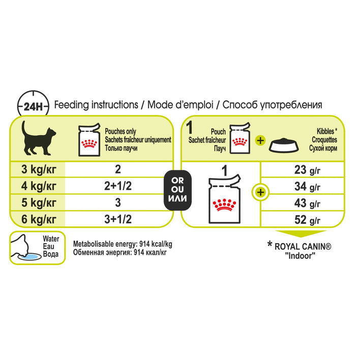 Royal Canin Feline Health Nutrition Sensory Smell Jelly Pouches 12 x 85g