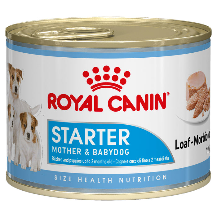 Royal Canin Starter Loaf (mousse) 12 x 195g