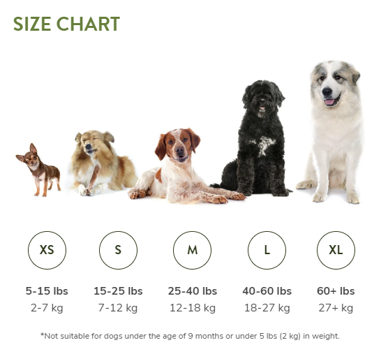 Brushzees Natural Dental Chew