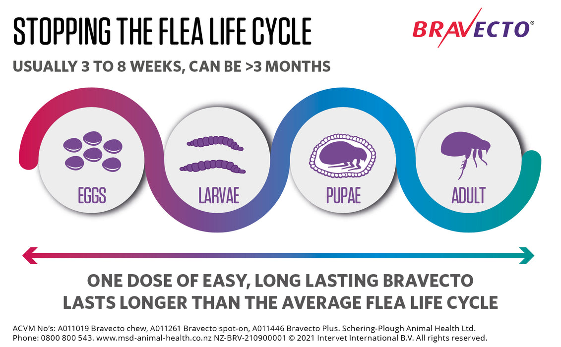 Bravecto Plus Spot-On For Cats