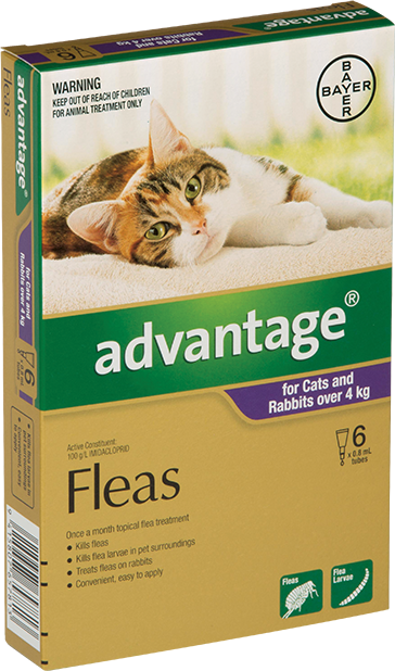 Advantage® for Cats