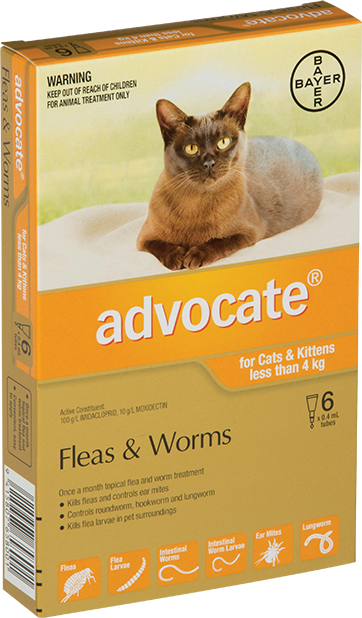 Bayer worm medicine deals for cats
