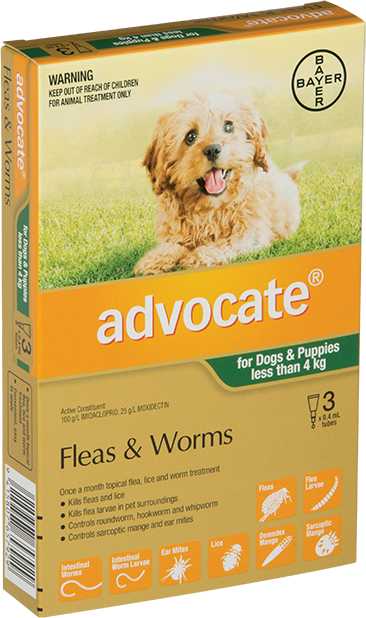 Advocate puppy 2025 flea worm treatment