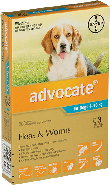 Combined flea and wormer for dogs on sale