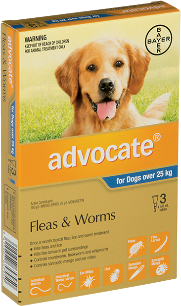 Advocate for puppies clearance