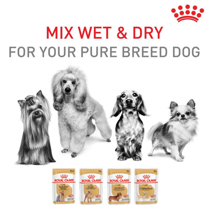 ROYAL CANIN® Poodle Breed Adult Wet Dog Food Pouches 12 x 85g