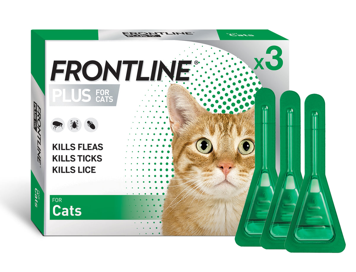 Frontline for kittens 6 weeks old best sale