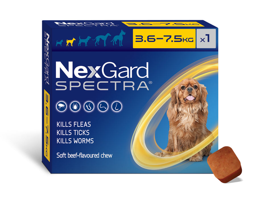 Nexgard kills fleas discount
