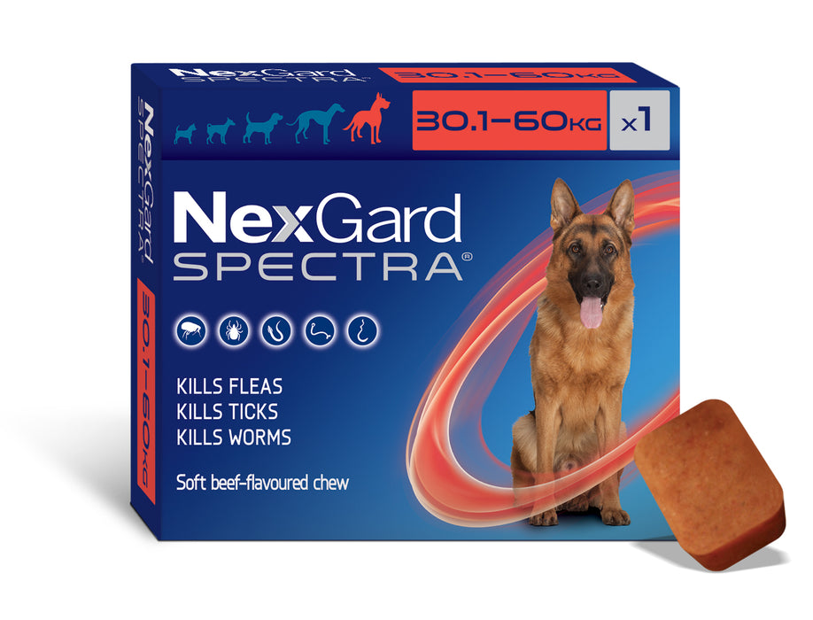 Nexgard single pack hotsell