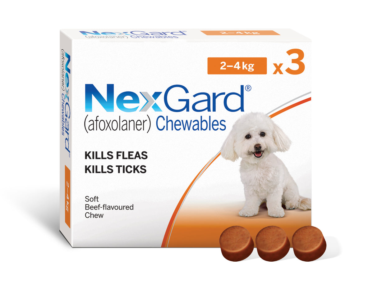 Nexgard chewables shop for cats